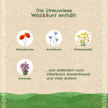 Saatgut Blumenwiese wild und bunt. Inhaltsangabe.