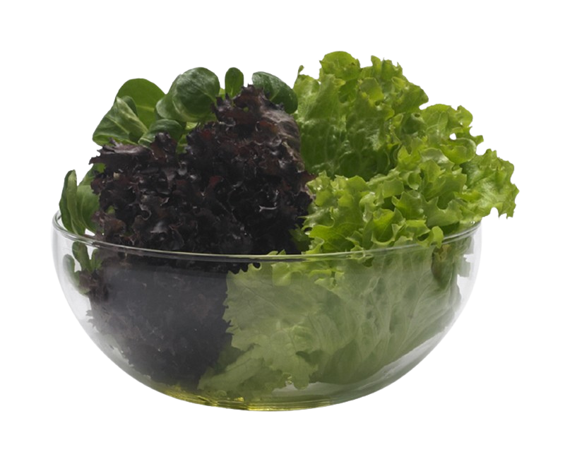glasschüssel mit salatblättern